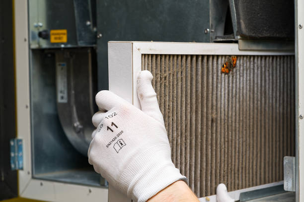 Best Air Duct Mold Removal  in Cockrell Hill, TX